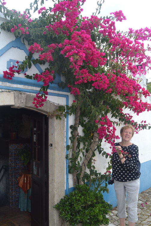 DSC_0797 — копия.JPG