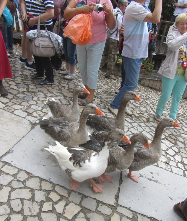 IMG_6280 — копия.JPG