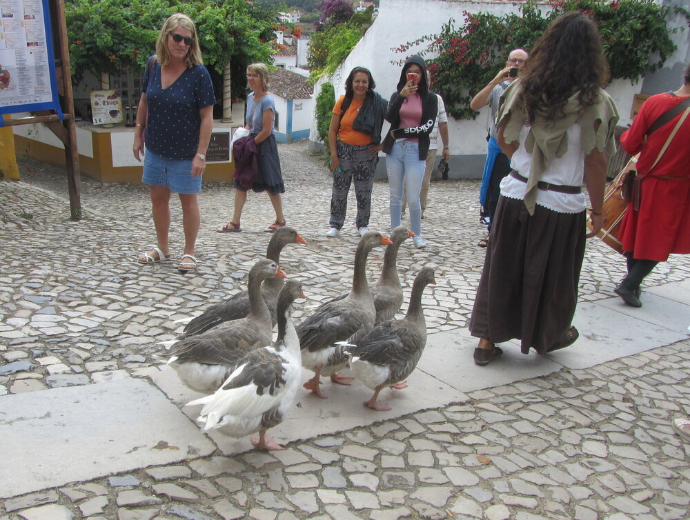 IMG_6281 — копия.JPG