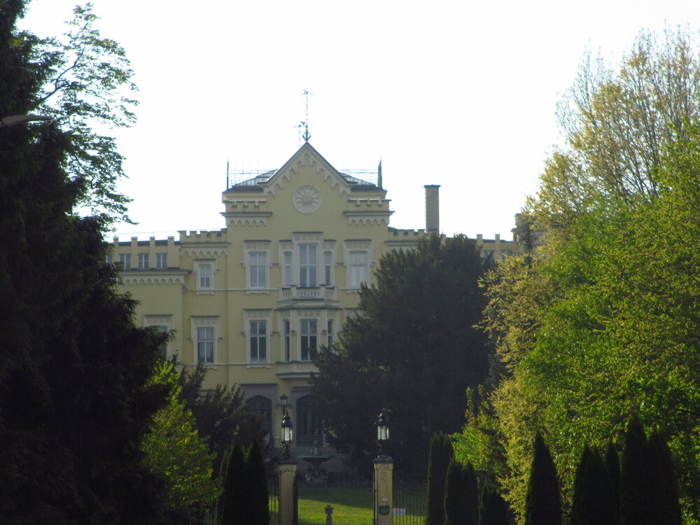 IMG_8374 - копия.JPG