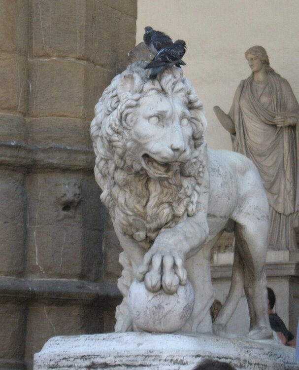 IMG_9830 — копия — копия.jpg