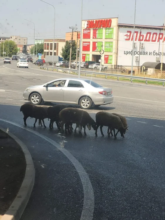 i - 2026-03-28T204419.328.webp