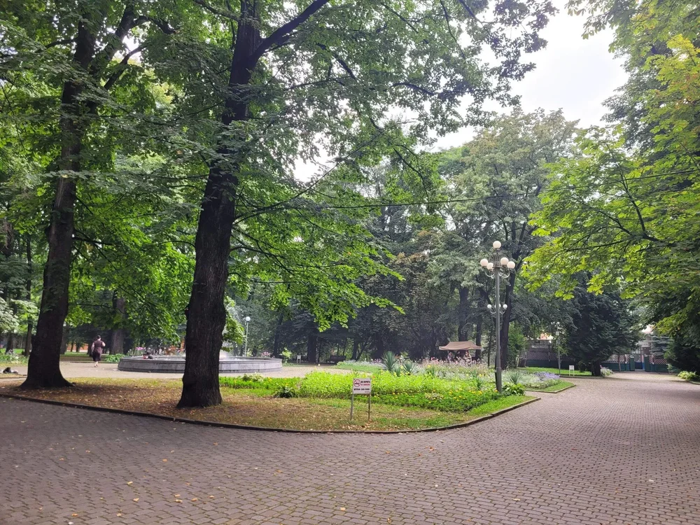 i - 2026-03-29T133304.642.webp