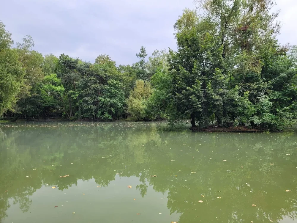 i - 2026-03-29T133348.753.webp