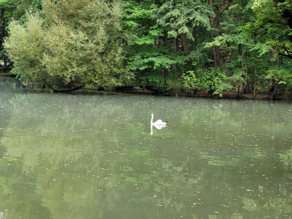 i - 2026-03-29T133412.758.webp