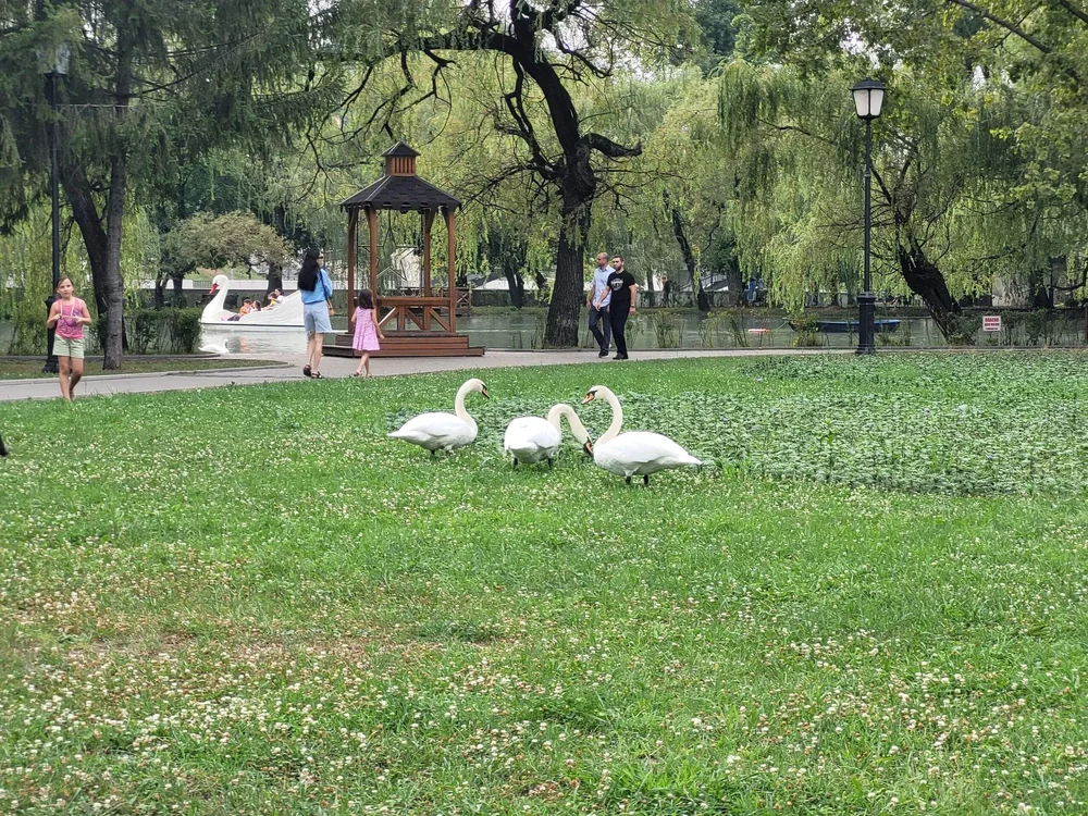 i - 2026-03-29T160350.196.webp