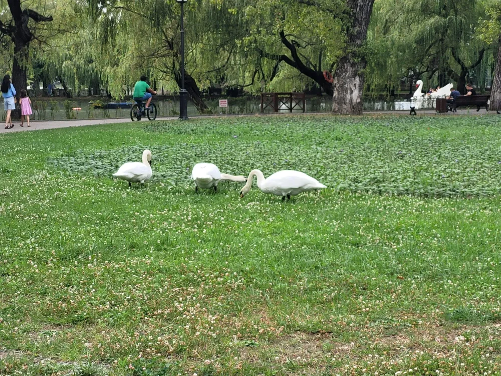 i - 2026-03-29T160356.468.webp