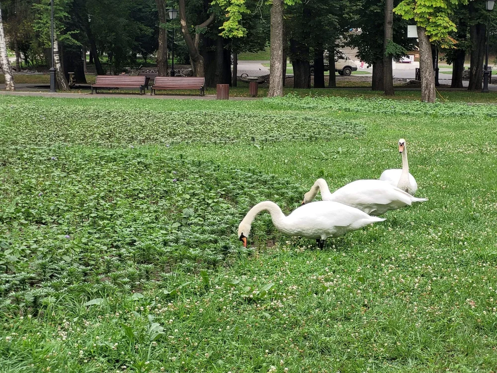 i - 2026-03-29T160412.109.webp