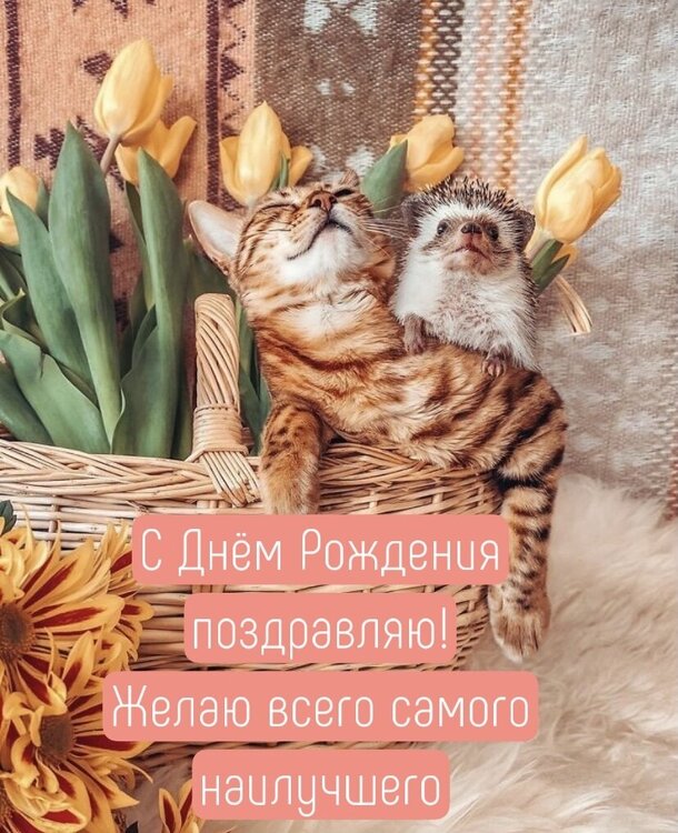 imagetext_ru_32119 (1).jpeg