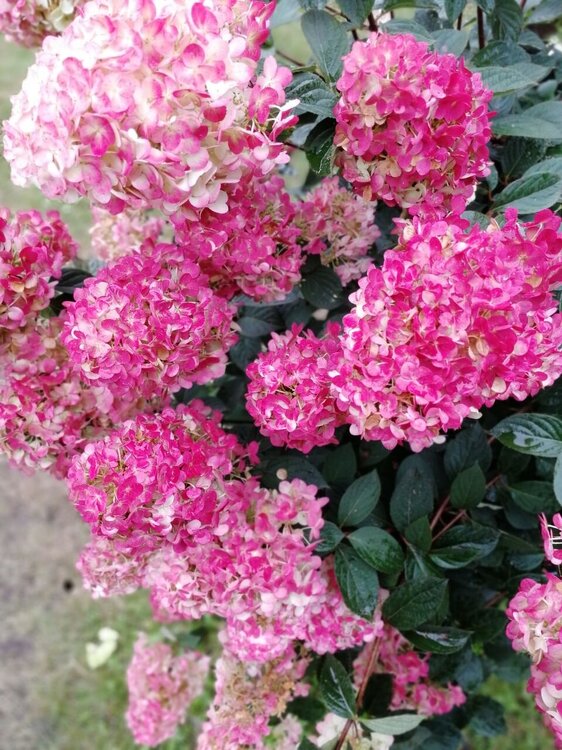 photo_2023-09-02_18-13-59 (2).jpg