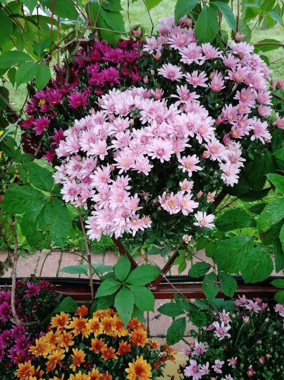 photo_2023-09-02_18-13-59 (7).jpg