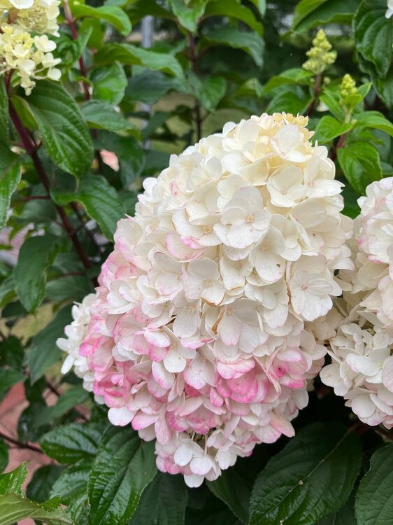 photo_2023-09-02_20-17-28 (2).jpg