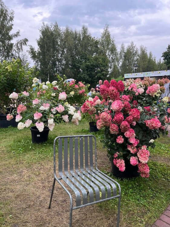 photo_2023-09-02_20-17-42 (2).jpg