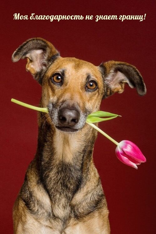 photowords_ru_18280 (1).jpg