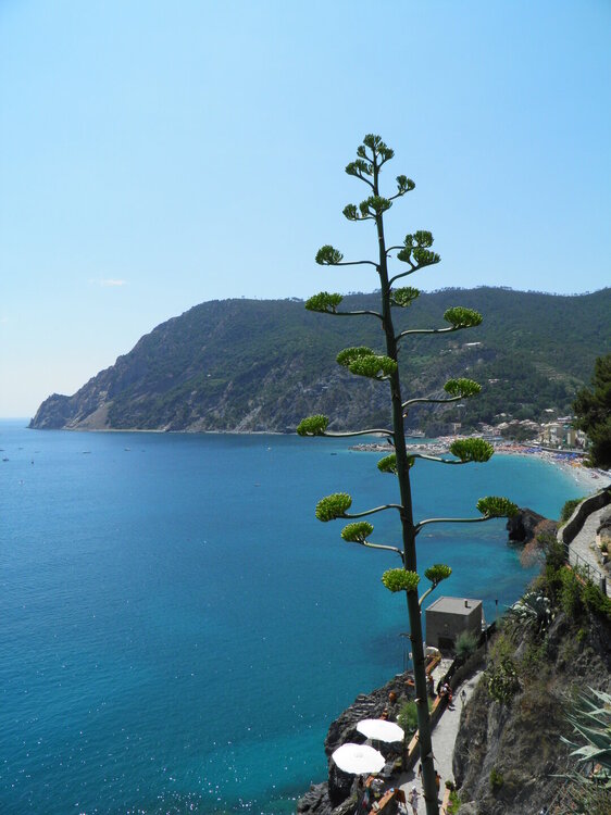 Тоскана-2012 1073.jpg