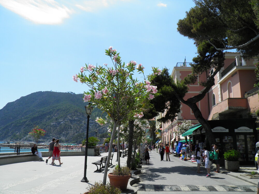 Тоскана-2012 1076.jpg