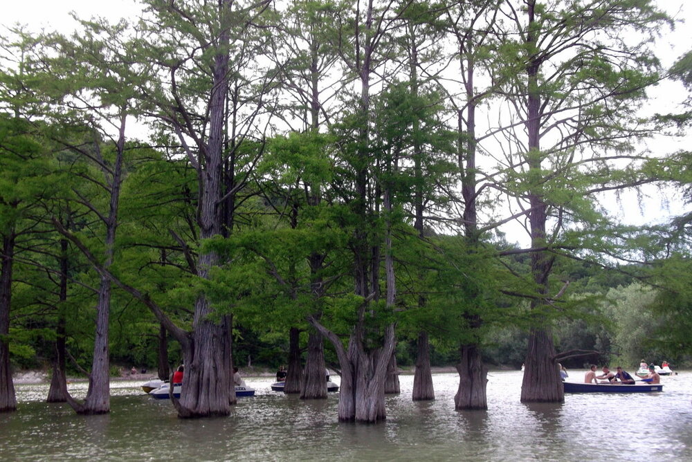 1-НОВОРОССИЙСК-АНАПА-КИПАРИСОВОЕ ОЗЕРО 2022 109-001.JPG