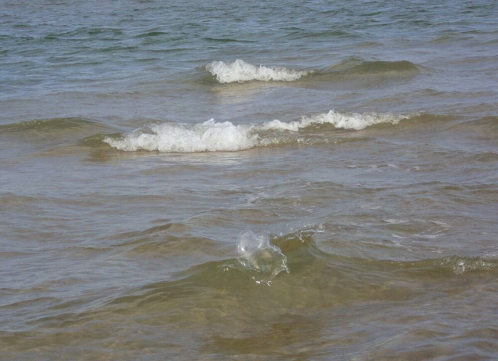 1-Открытки из Скандинавии 025.JPG