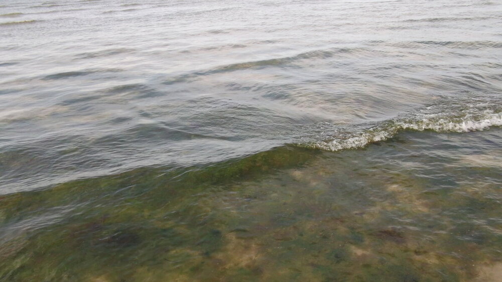 1-Открытки из Скандинавии 061.JPG