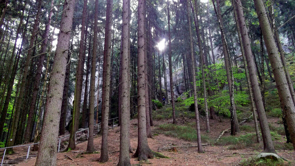 1-Золотые стёжки Чешского Рая 072.JPG