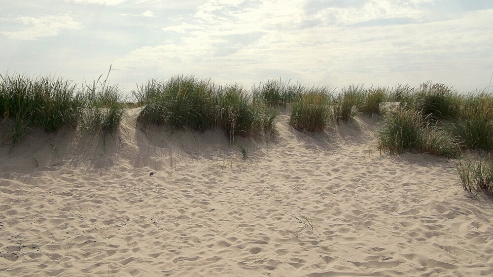 1-Открытки из Скандинавии 081.JPG