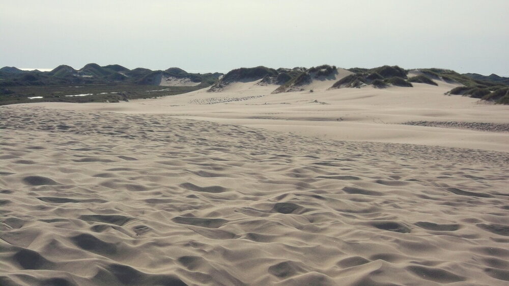 1-Открытки из Скандинавии 108.JPG