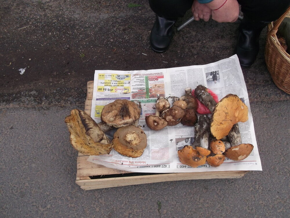 1-Белые ночи Скандинавии 1203.JPG