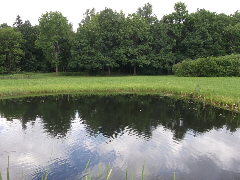 1-Белые ночи Скандинавии 1224.JPG