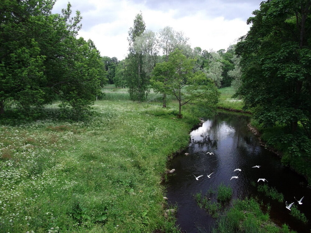 1-Белые ночи Скандинавии 1228.JPG