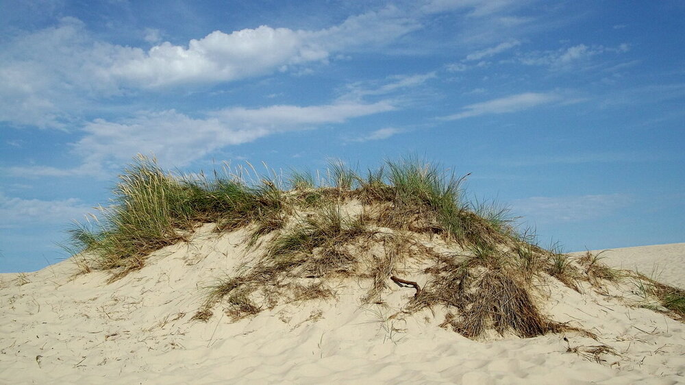 1-Открытки из Скандинавии 143.JPG