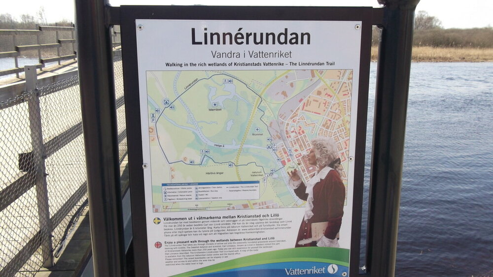 1-Мелодии балтийского ветра 2448.JPG