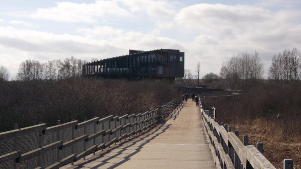 1-Мелодии балтийского ветра 2454.JPG