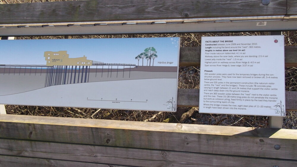 1-Мелодии балтийского ветра 2456.JPG