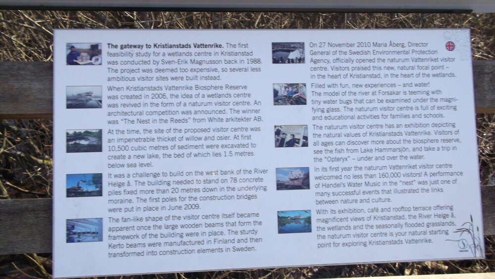 1-Мелодии балтийского ветра 2460.JPG