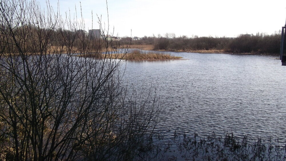 1-Мелодии балтийского ветра 2462.JPG