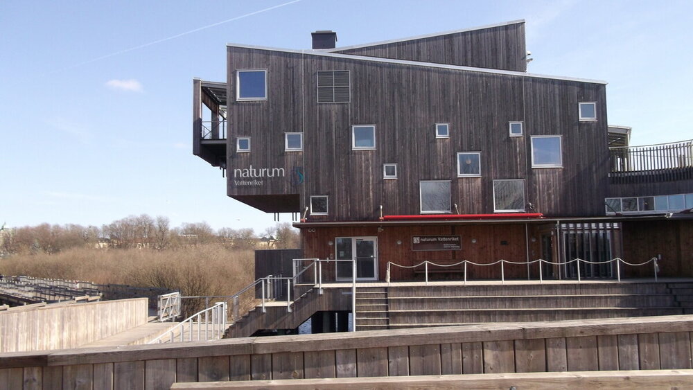 1-Мелодии балтийского ветра 2465.JPG