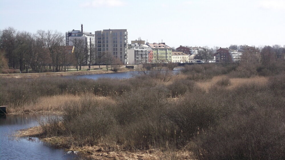 1-Мелодии балтийского ветра 2468.JPG