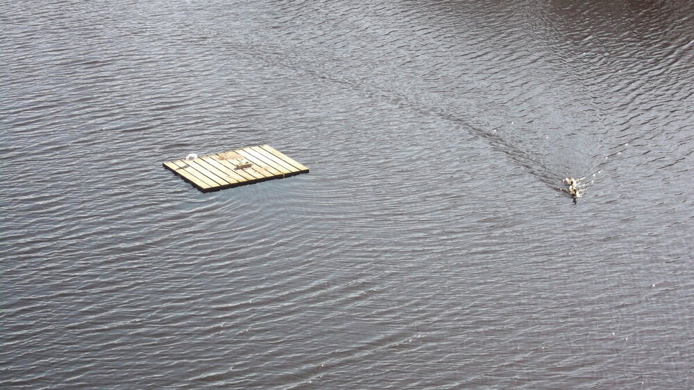 1-Мелодии балтийского ветра 2470.JPG