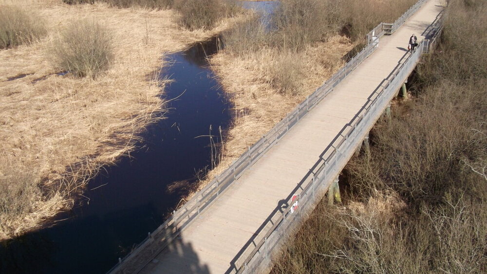 1-Мелодии балтийского ветра 2476.JPG