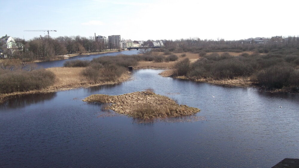 1-Мелодии балтийского ветра 2478.JPG