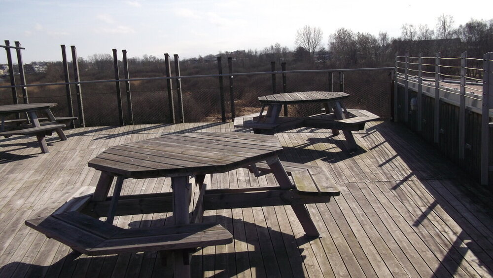 1-Мелодии балтийского ветра 2482.JPG