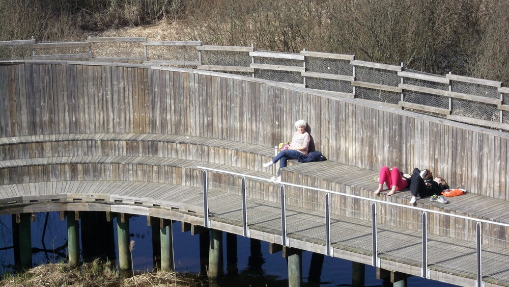 1-Мелодии балтийского ветра 2484.JPG