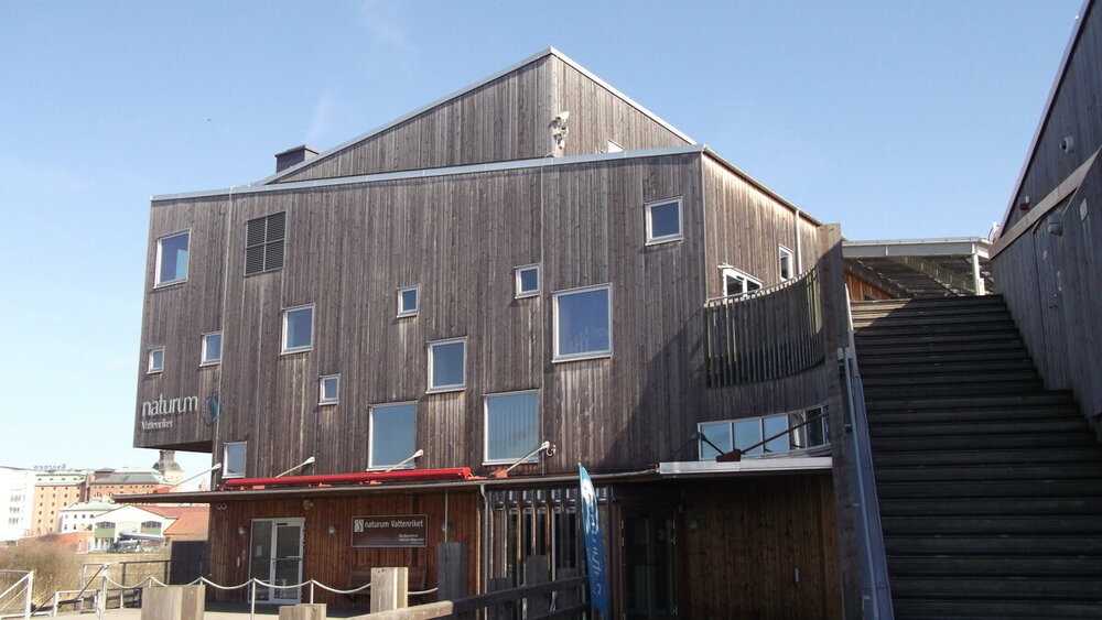 1-Мелодии балтийского ветра 2486.JPG