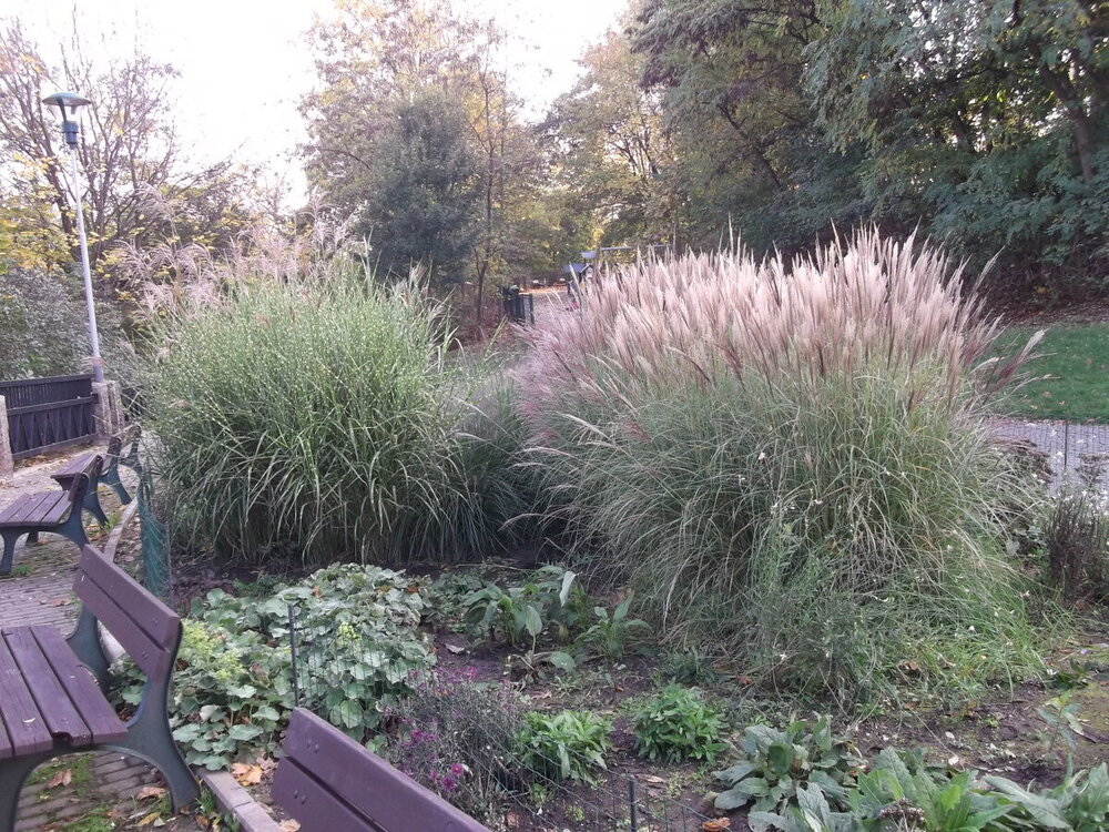 1-Осенние прогулки по Чехии 279.JPG