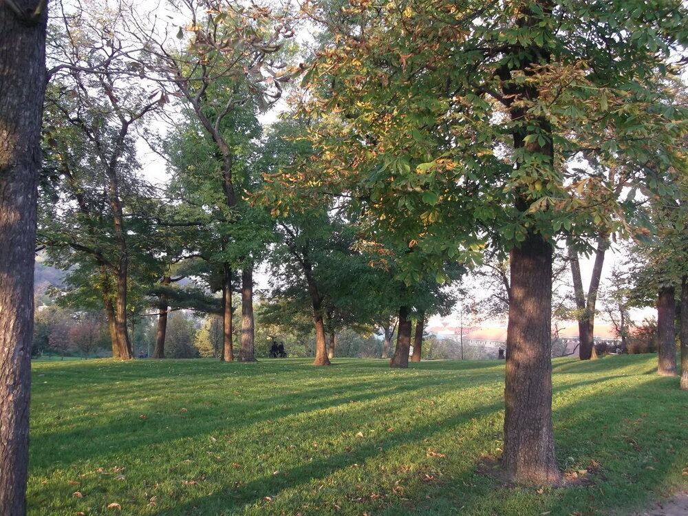 1-Осенние прогулки по Чехии 305.JPG