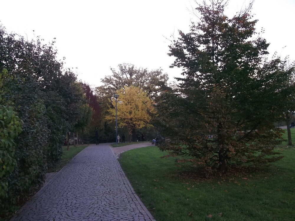 1-Осенние прогулки по Чехии 324.JPG