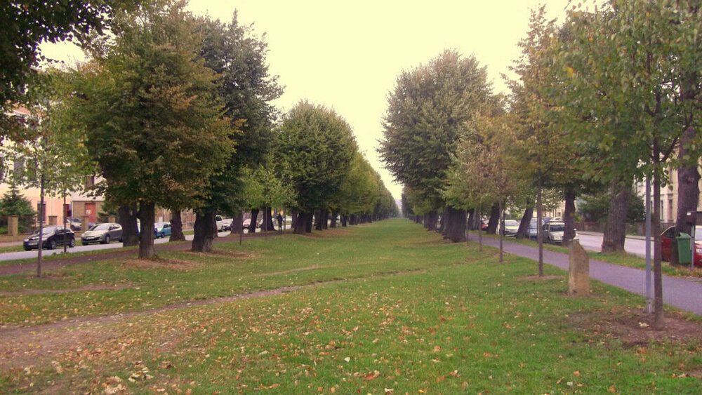 1-Золотые стёжки Чешского Рая 330.JPG