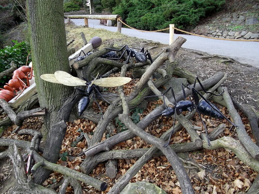 1-Пражская зима 449.JPG