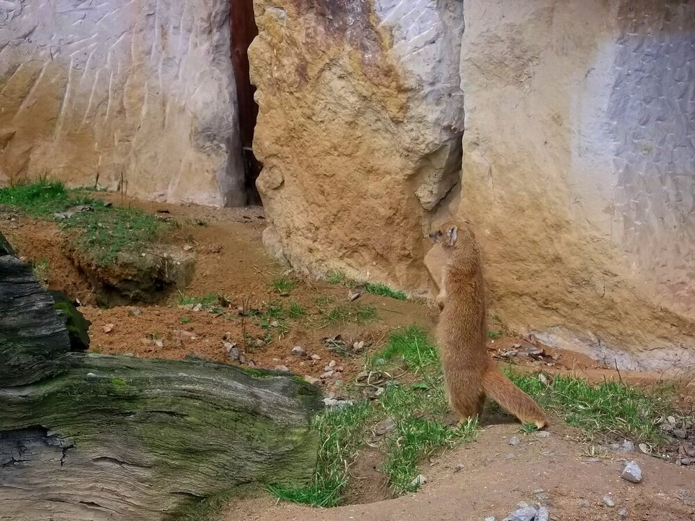 1-Пражская зима 454.JPG