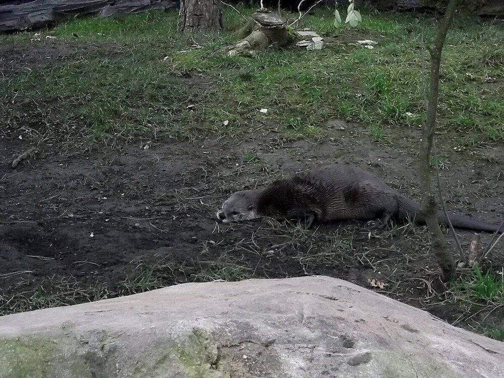 1-Пражская зима 471.JPG